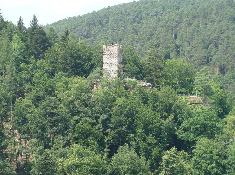 Burg Erfenstein, Esthal, Germany, Germany